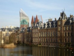 den haag turfmarkt