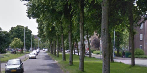 parkeren Cannenburglaan Den Haag