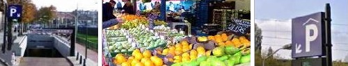 haagse mart